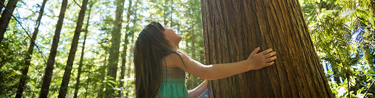 child in forest