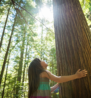 child in forest