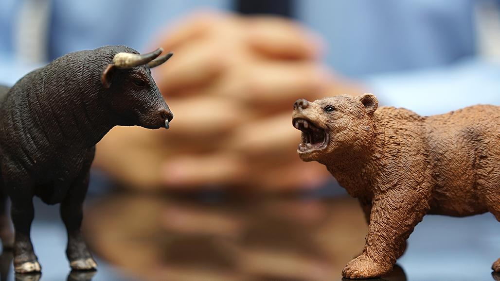 bear & bull figurines