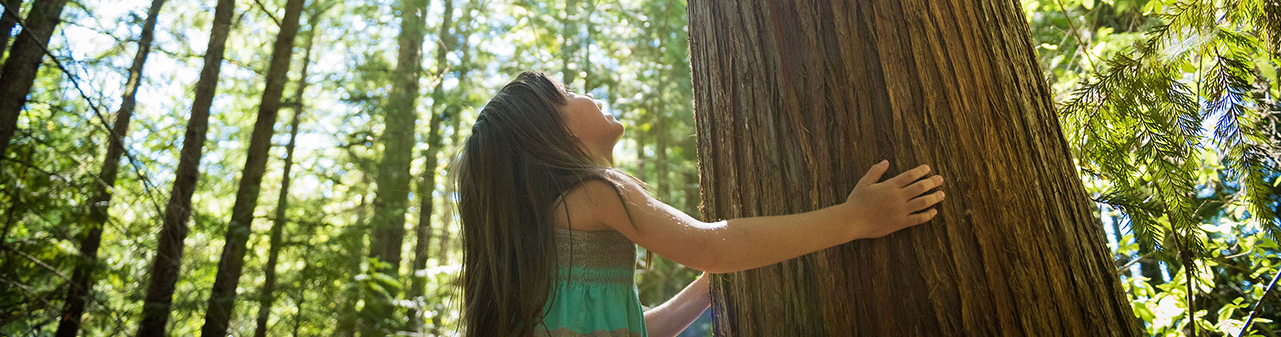 child in forest